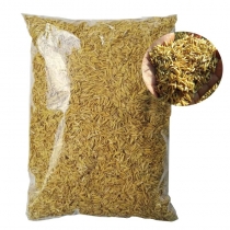GIÁ THỂ TRỒNG CÂY:  VỎ TRẤU SỐNG 300gr
