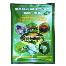 CHẾ PHẨM SINH HỌC NẤM XANH METARHIZIUM- 100gr