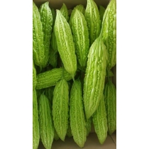 HẠT GIỐNG  KHỔ QUA XANH GN53 (10 HẠT)
