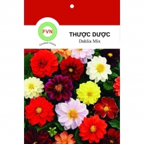 HẠT GIỐNG DAHLIA MIX- THƯỢC DƯỢC