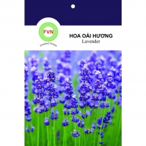 HẠT GIỐNG LAVENDER- HOA OẢI HƯƠNG