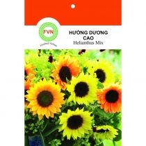 HẠT GIỐNG HELIANTHUS- HƯỚNG DƯƠNG CAO