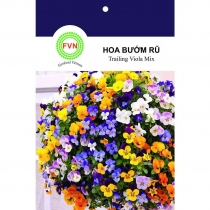 HẠT GIỐNG TRAILING VIOLA MIX- HOA BƯỚM RŨ