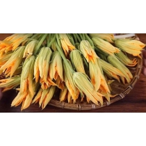 HẠT GIỐNG BÍ ĐỎ SIÊU BÔNG (F1)