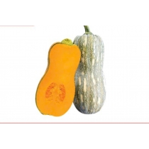 HẠT GIỐNG BÍ ĐỎ _KG24 